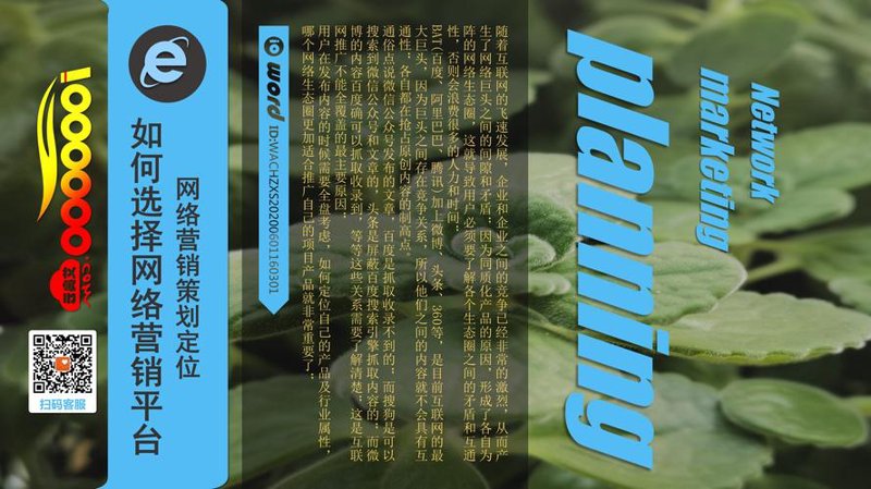 定制您的企业官网：让品牌故事在网上飞翔